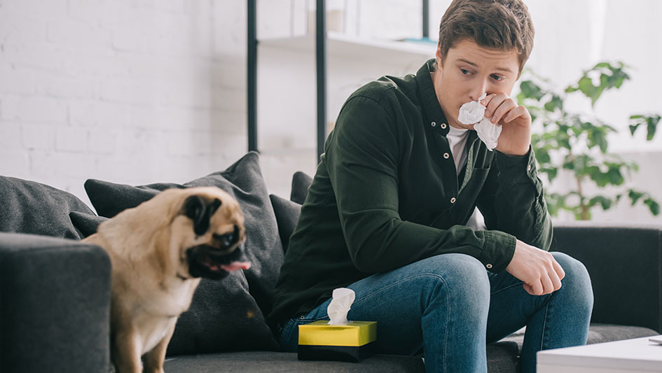 Getting an air purifier is one of the wisest methods to enhance your home’s indoor air quality. Discover more about the three best solutions. 